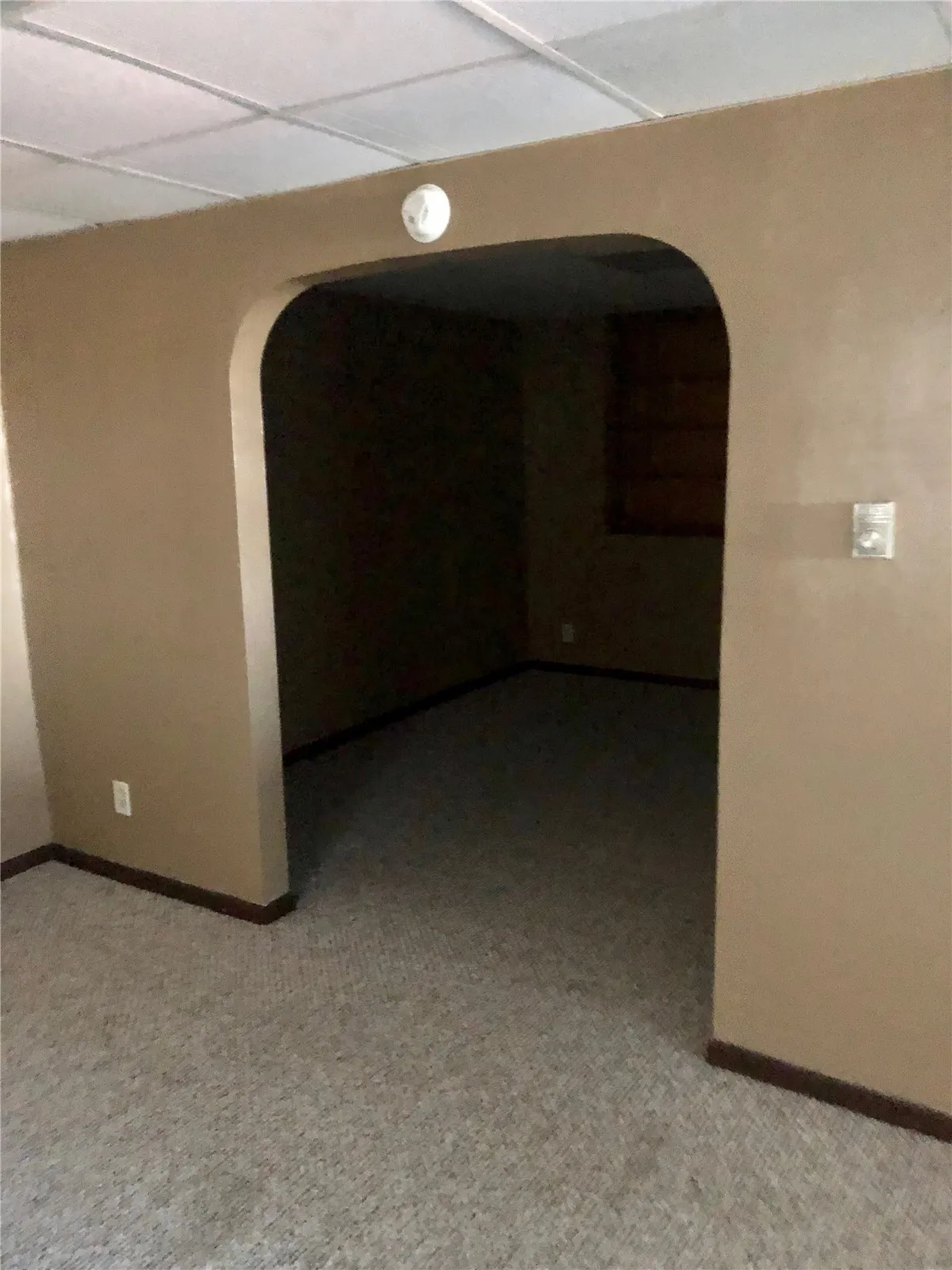 1 bed apartment