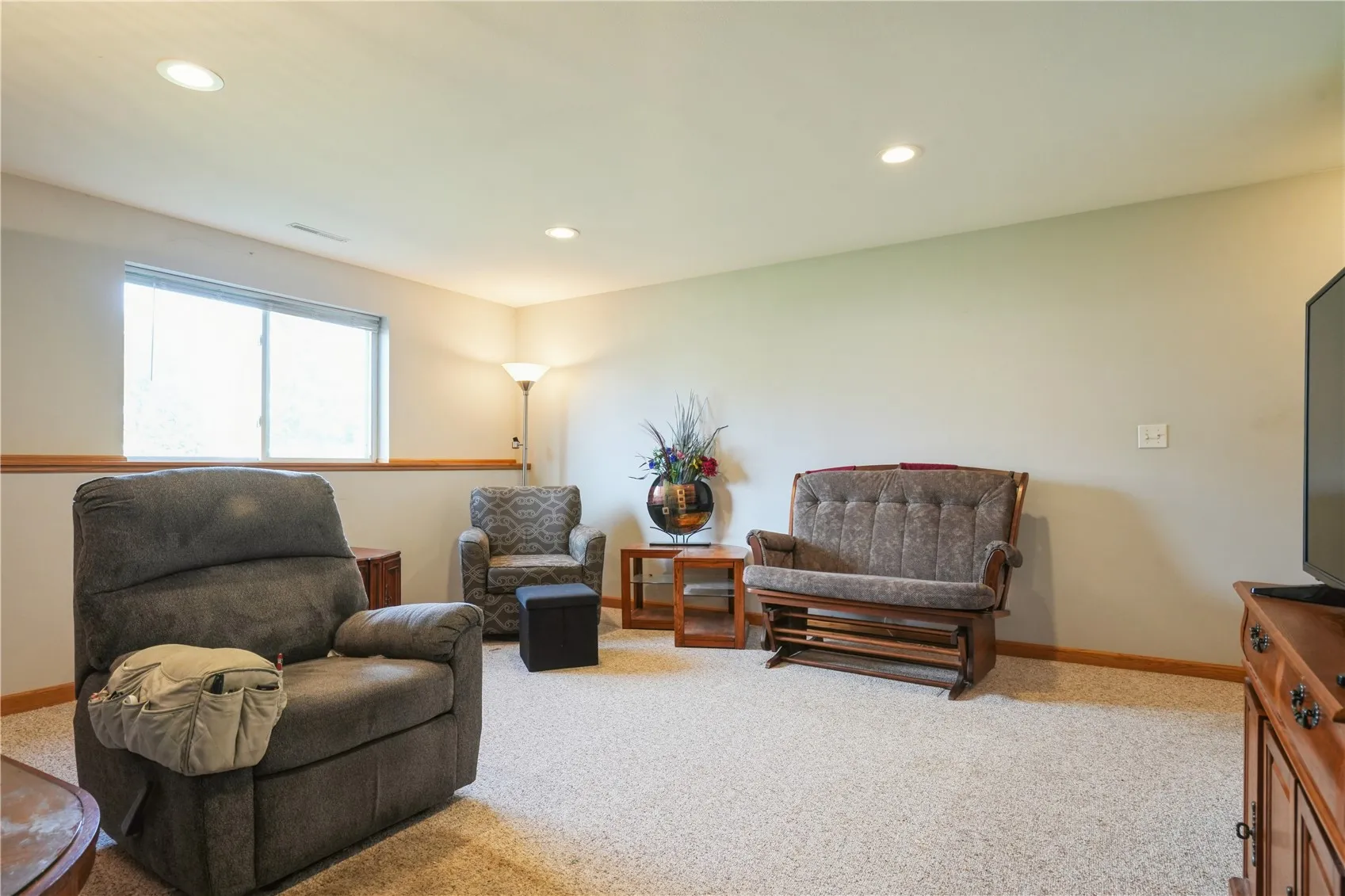 Lower level living room