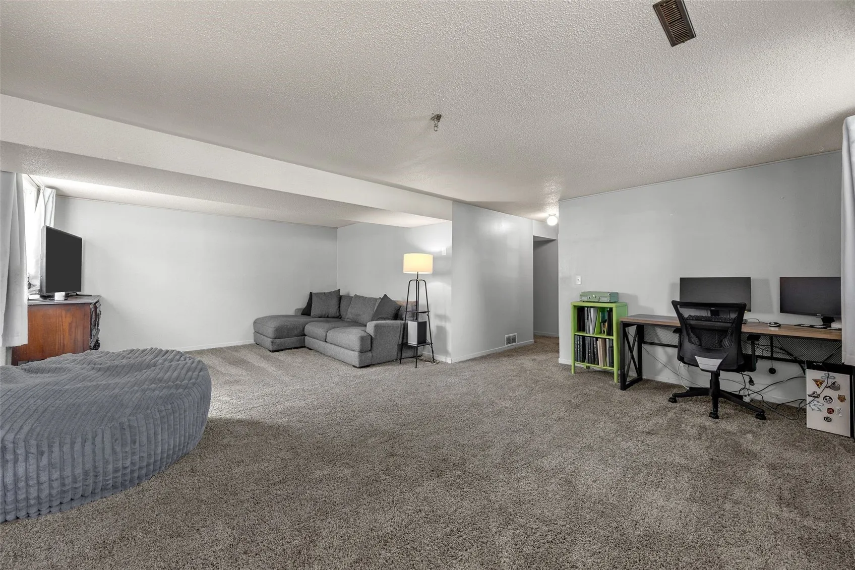 Lower Level living space