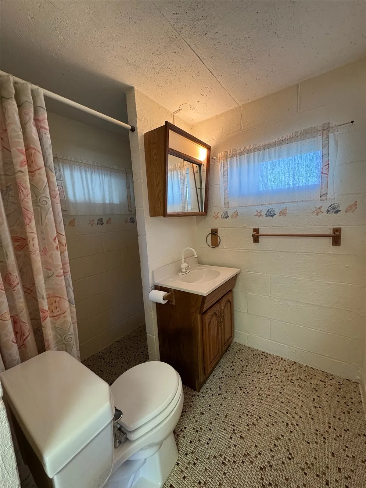 Lower Level Bathroom