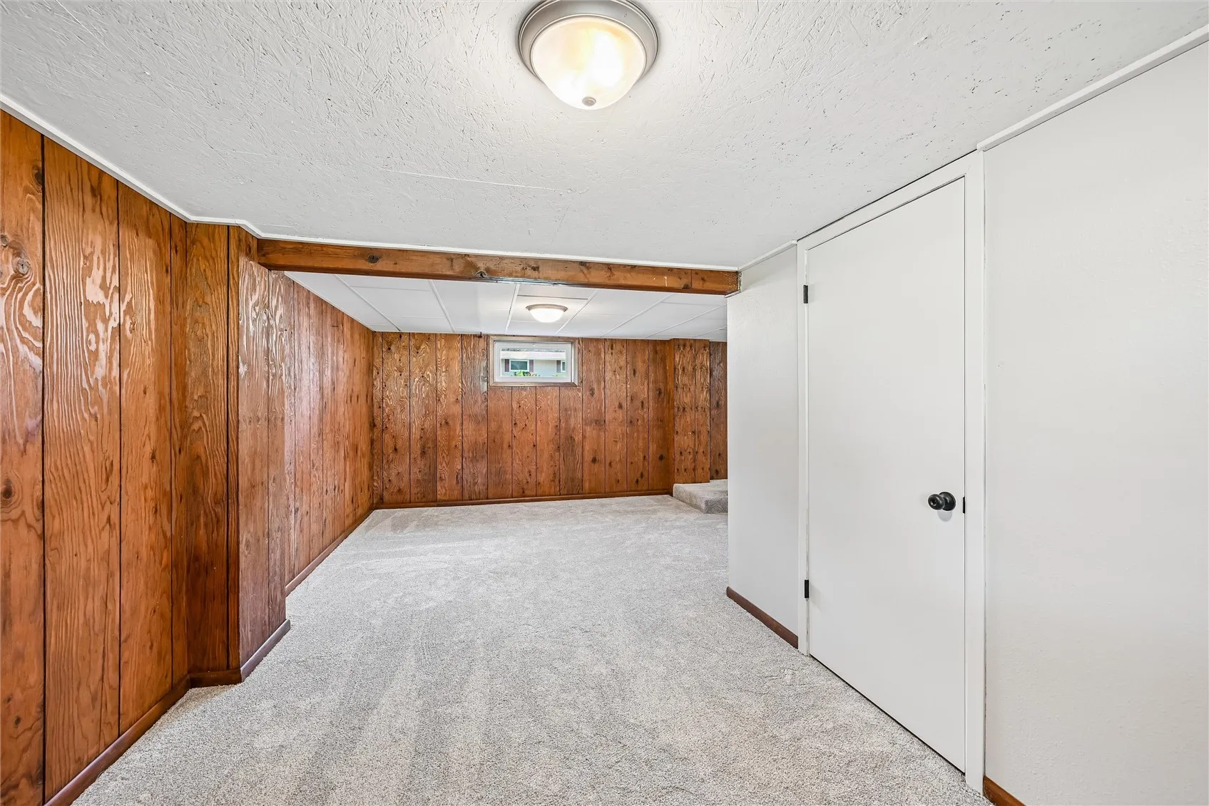 Lower level family room space