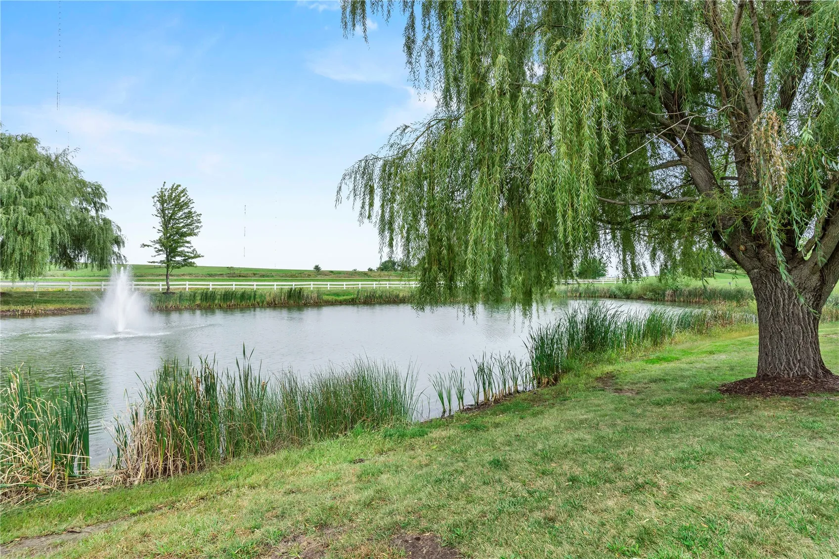 Pond