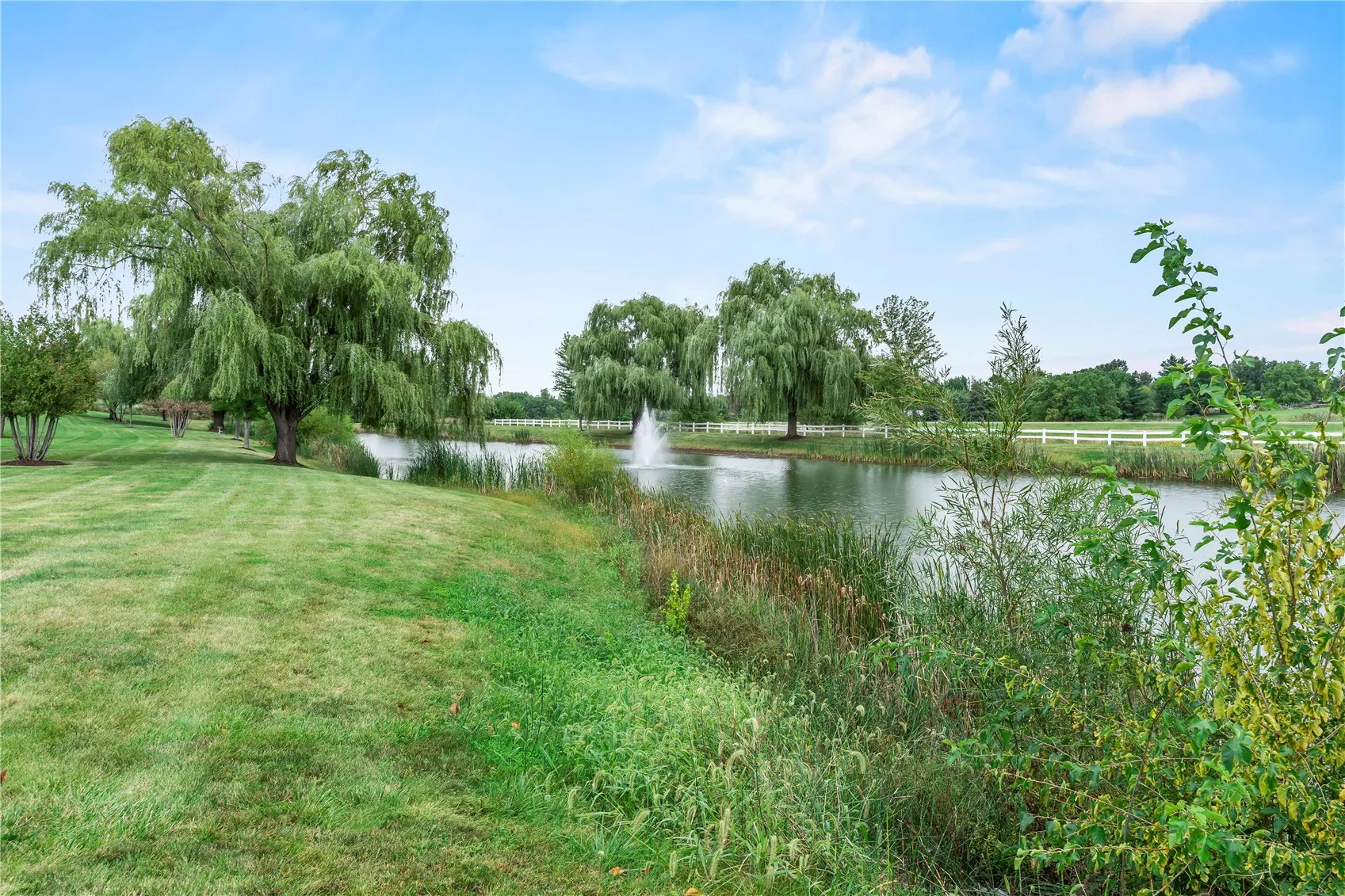 Pond