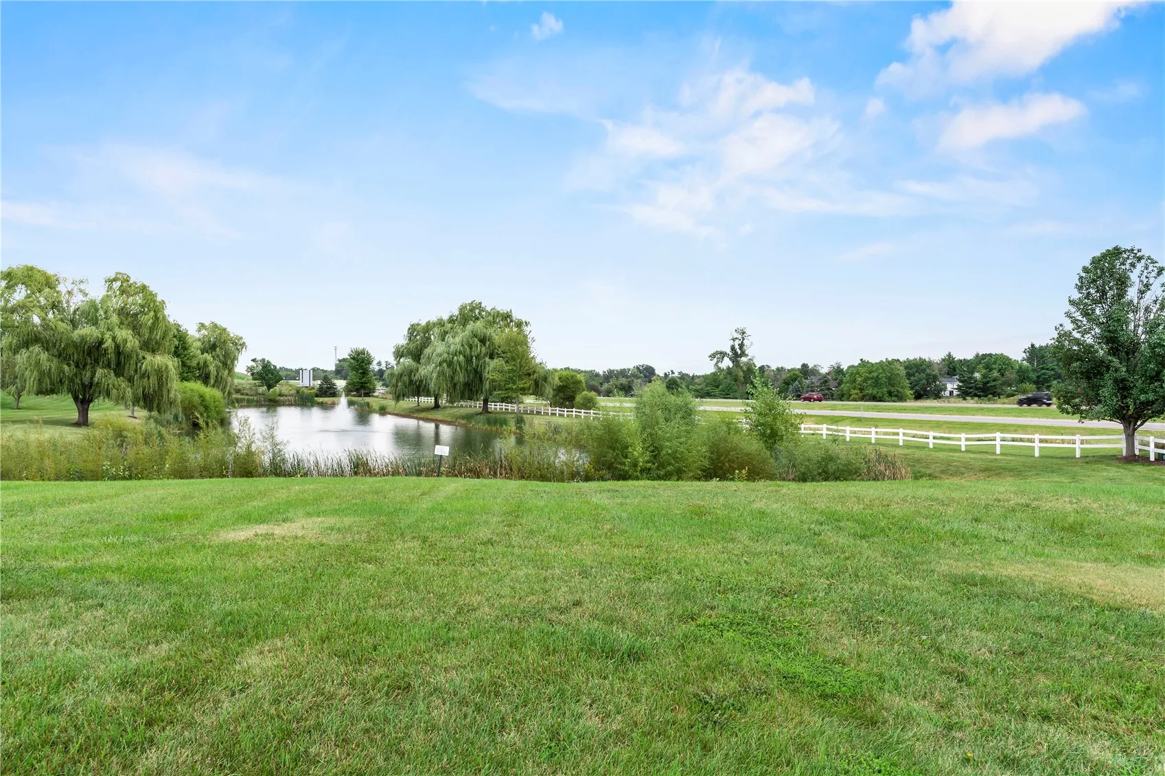 Pond