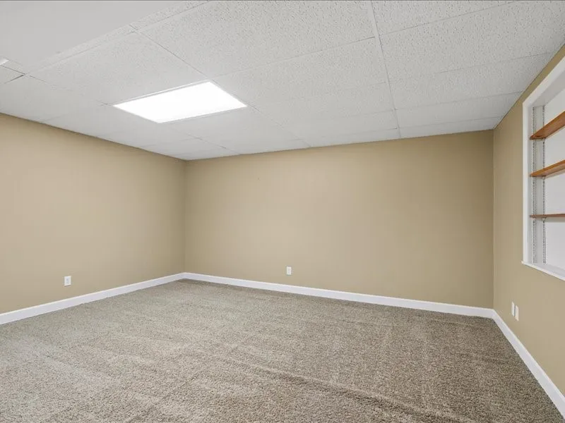 Basement Flex Room (220SF)