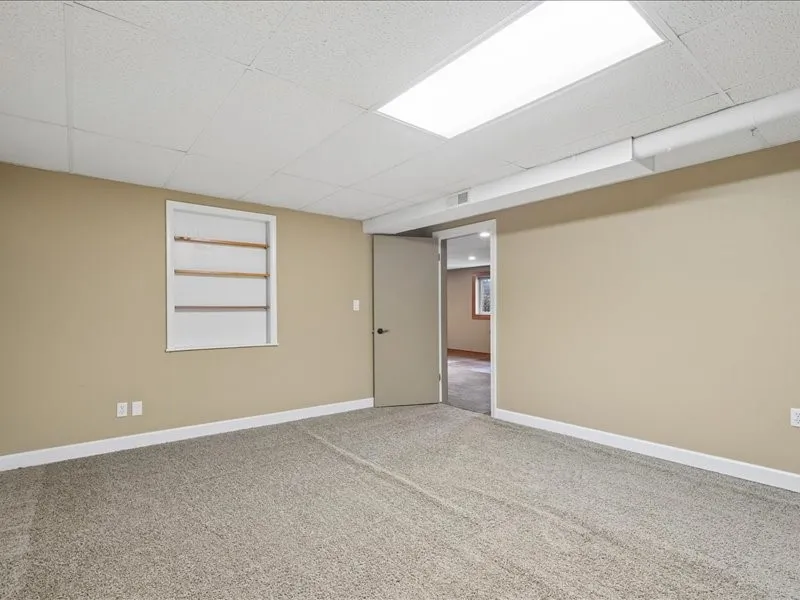 Basement Flex Room