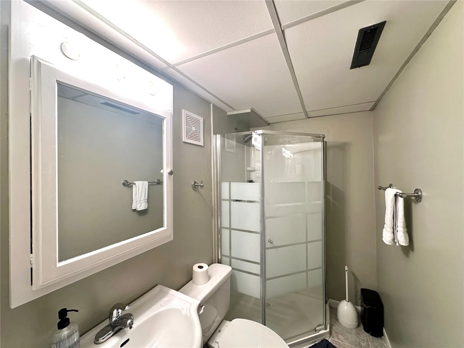 Lower-Level Bath with Shower