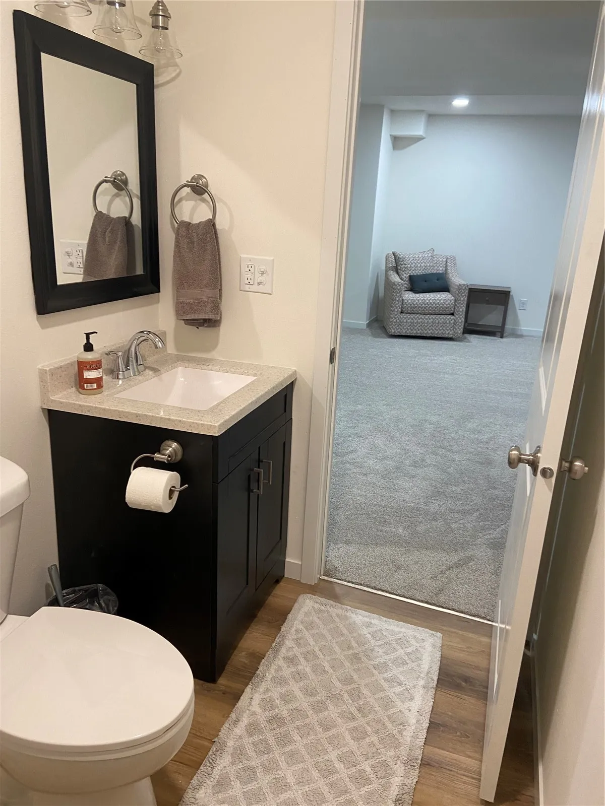 lower level bathroom