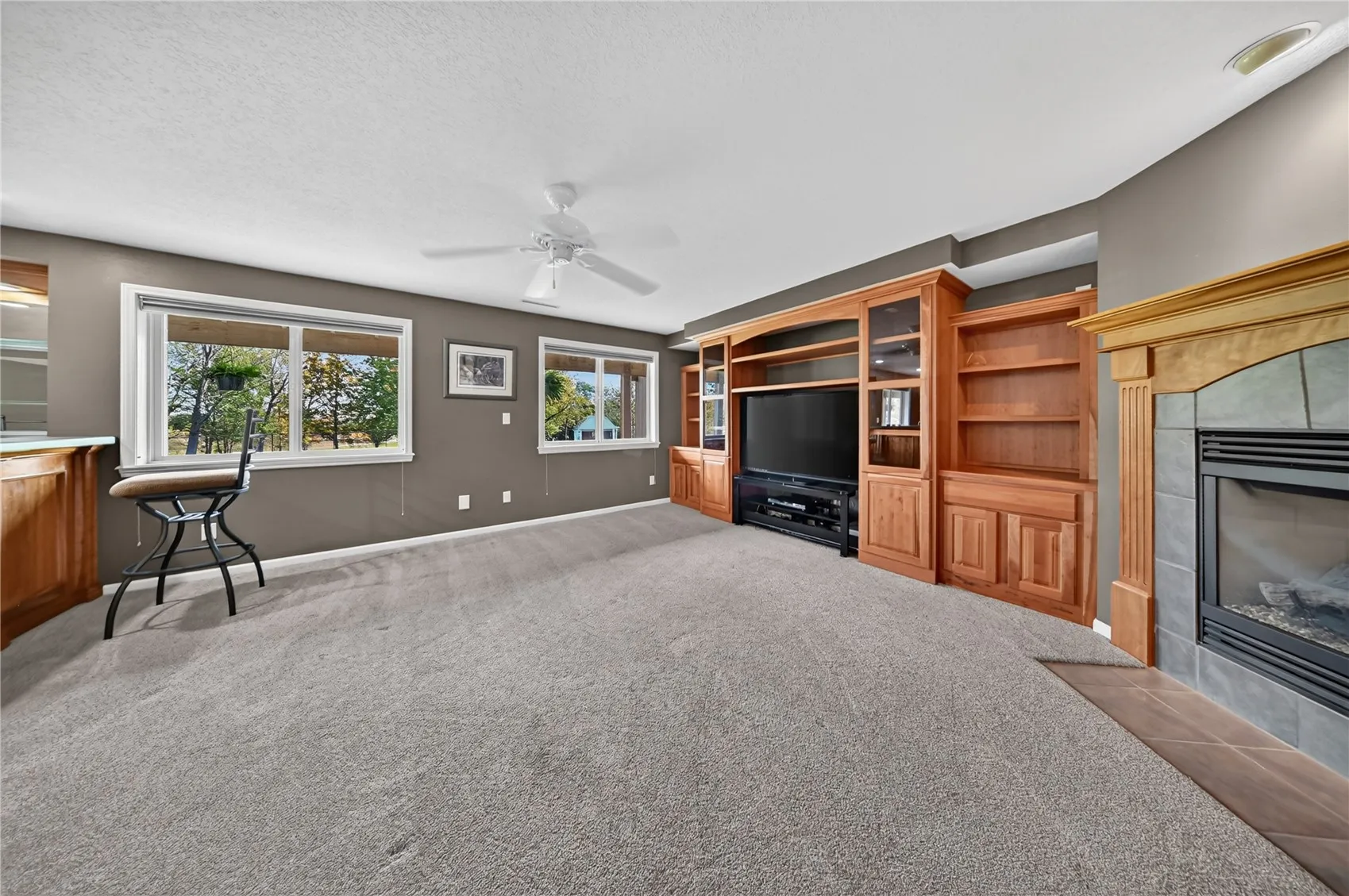 Lower Level Family Room