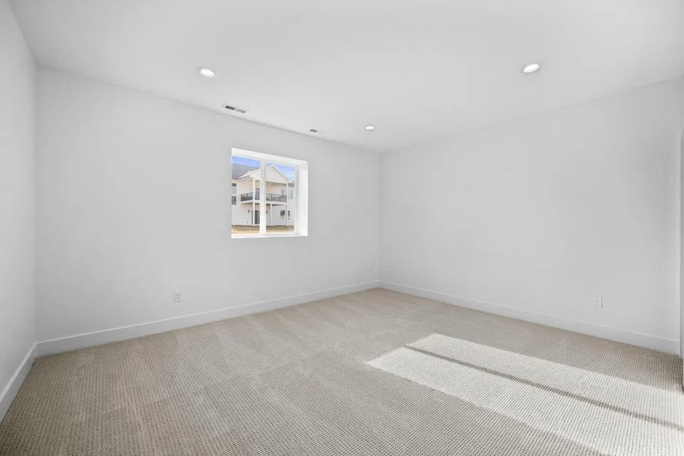 LL bedroom with walk-in closet
