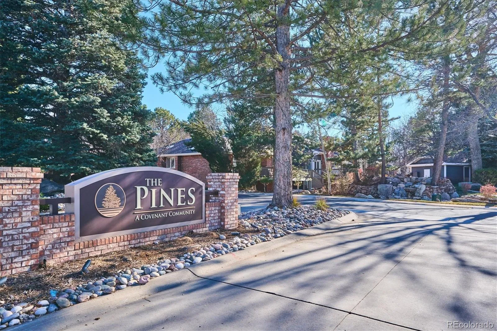 THE PINES