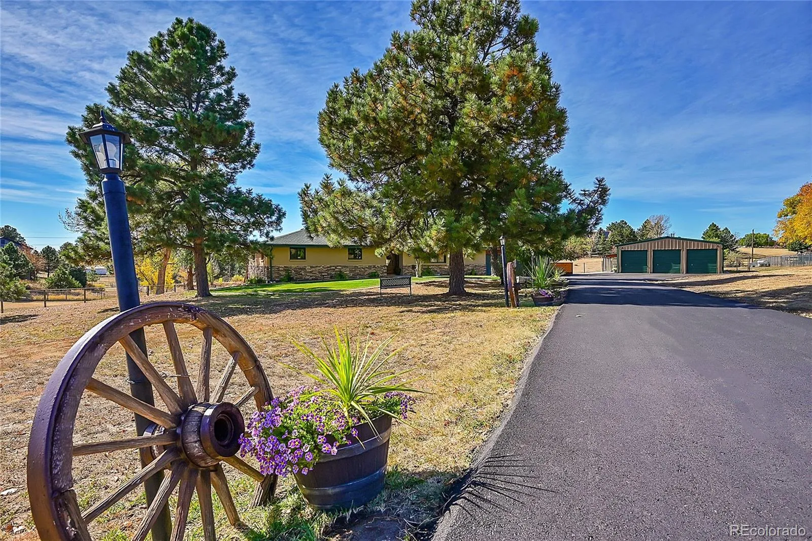 Ponderosa Hills