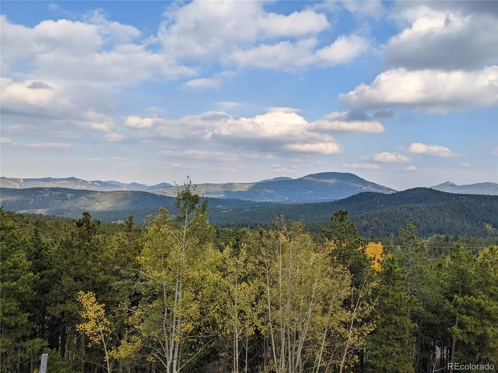 Evergreen Meadows West