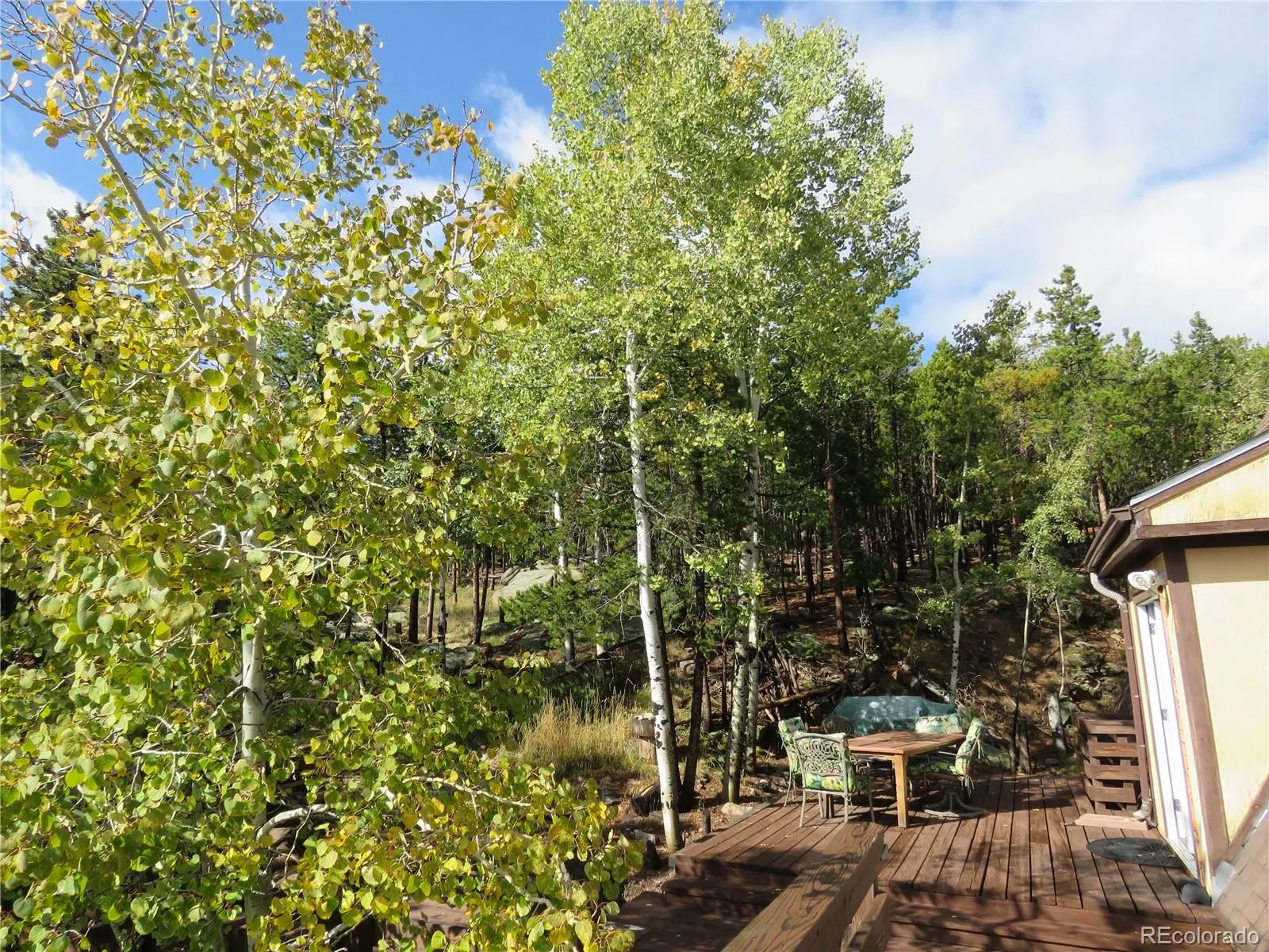 Evergreen Meadows West