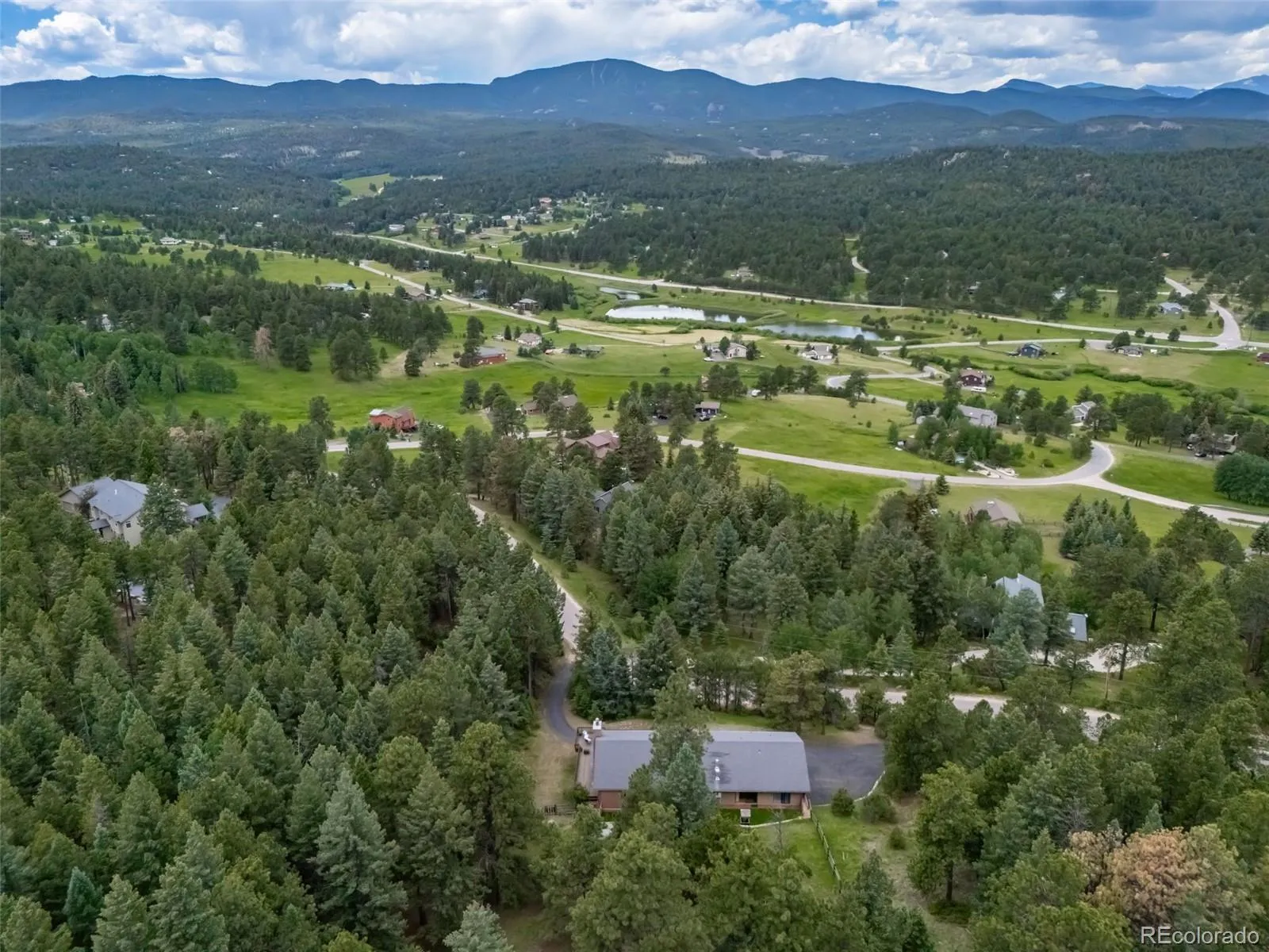 Evergreen Meadows