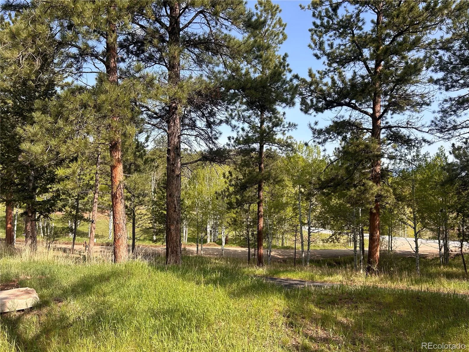 Friendship Ranch