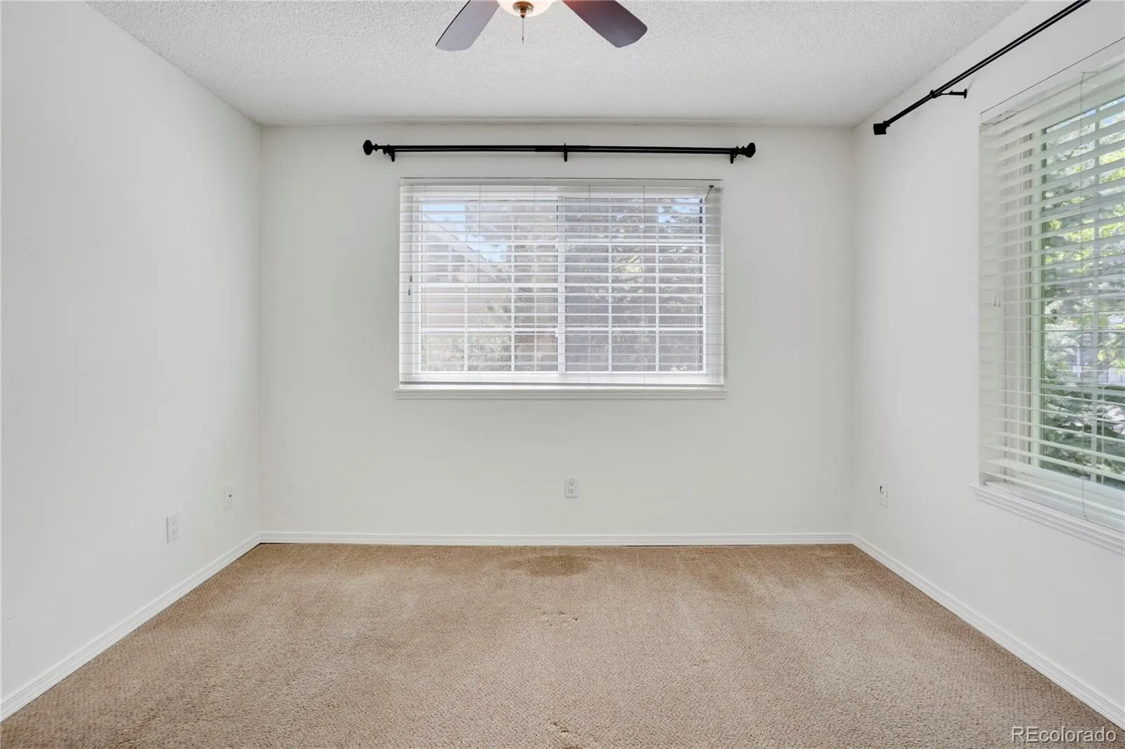 Cedar Pointe