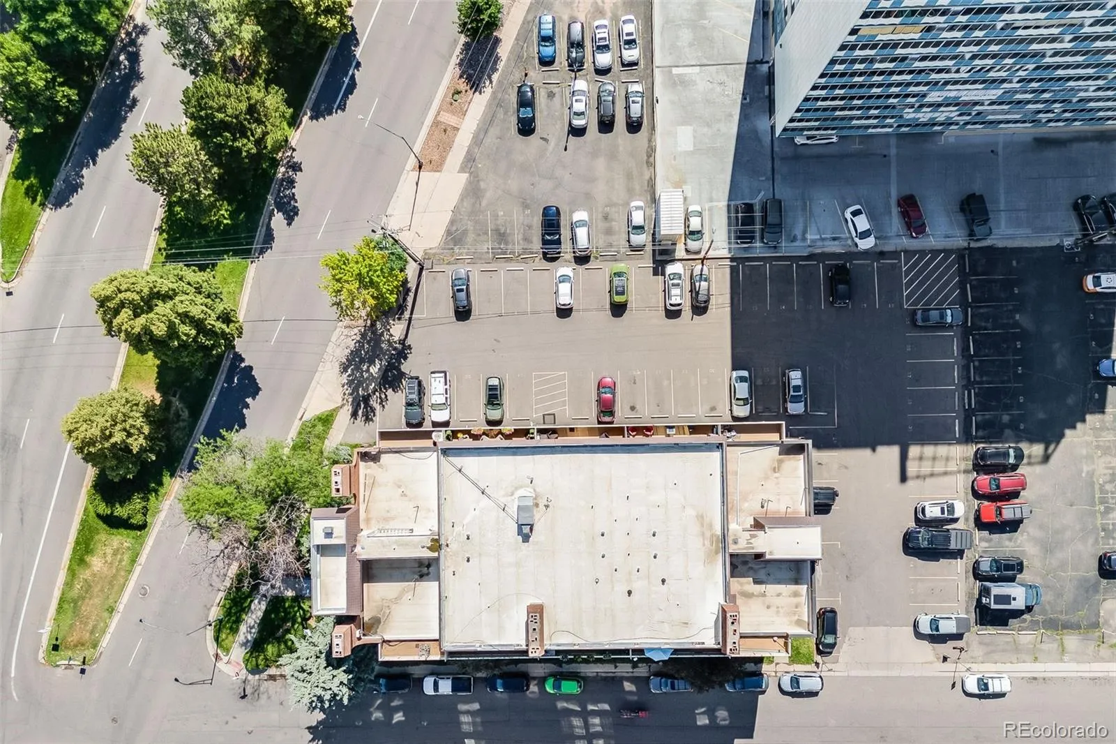 Bellevue Park / Hale