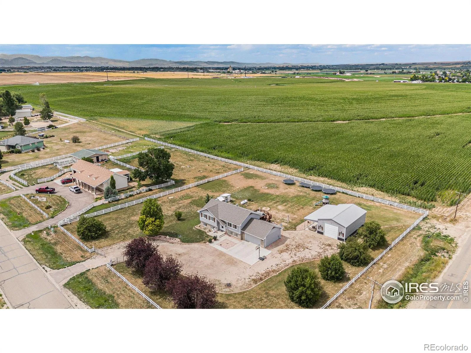 Wildcat Acres
