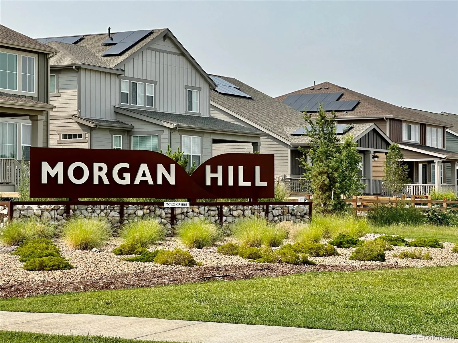 Morgan Hill