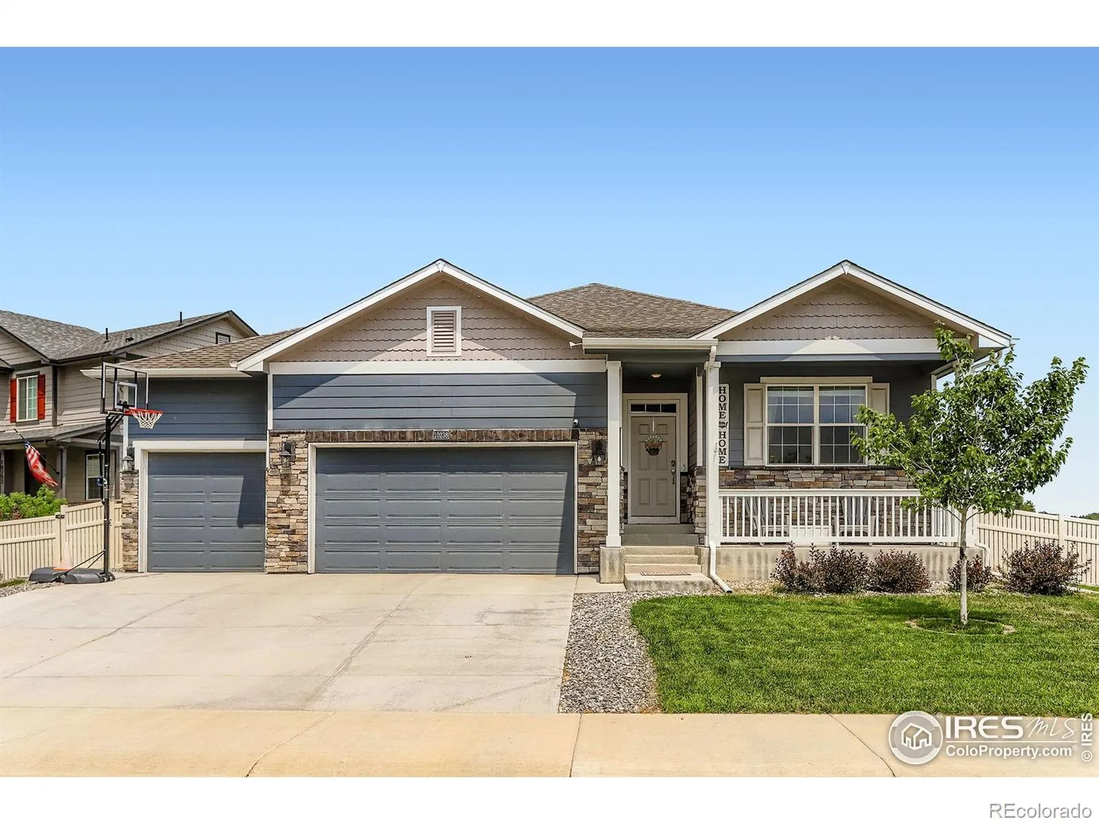 Neighbors Point Fg #3