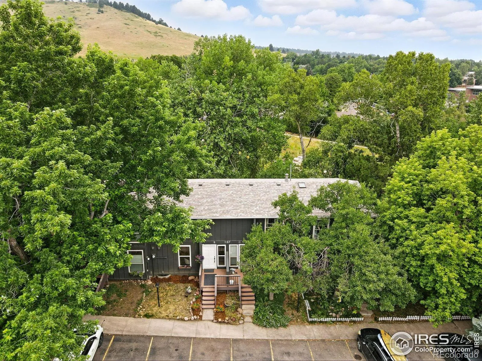 Bear Creek Condo Association