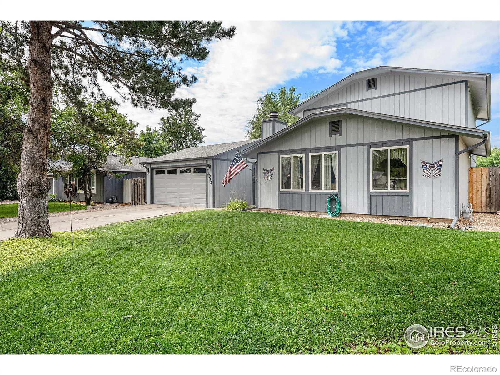 Park Ridge 3