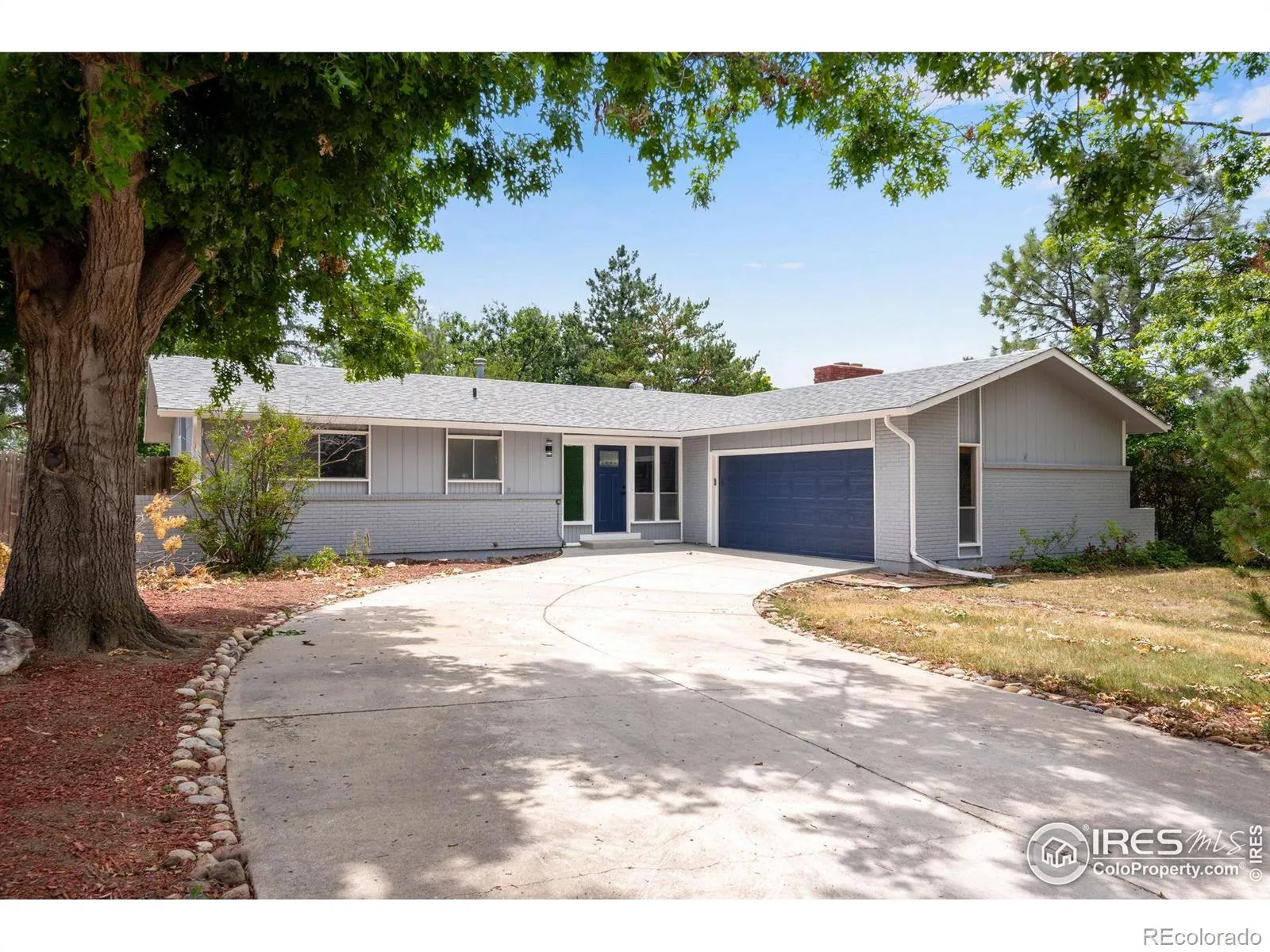 Longmont Estates 6