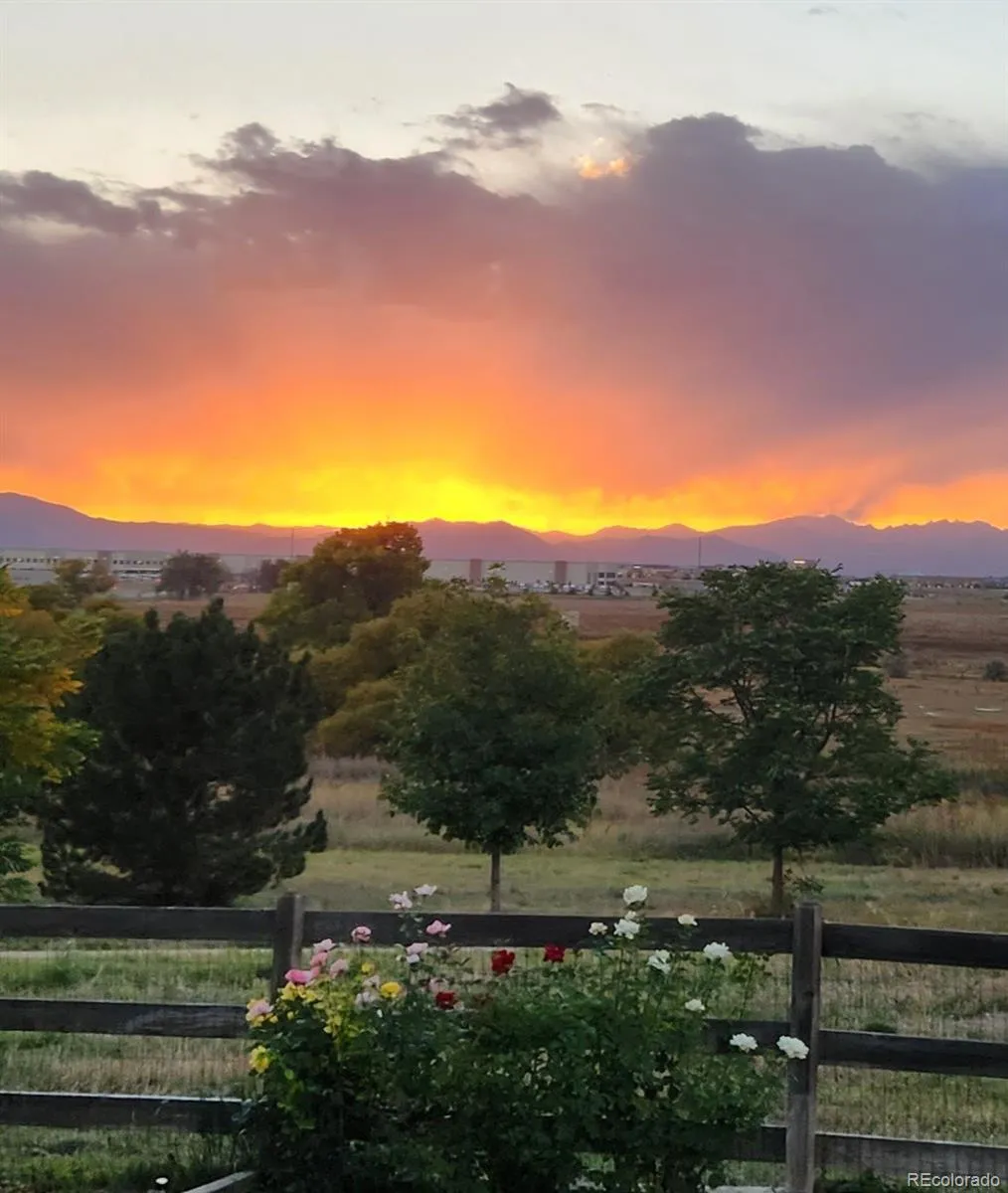 Quail Valley