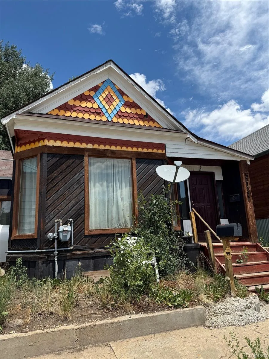 Leadville Stray Horse