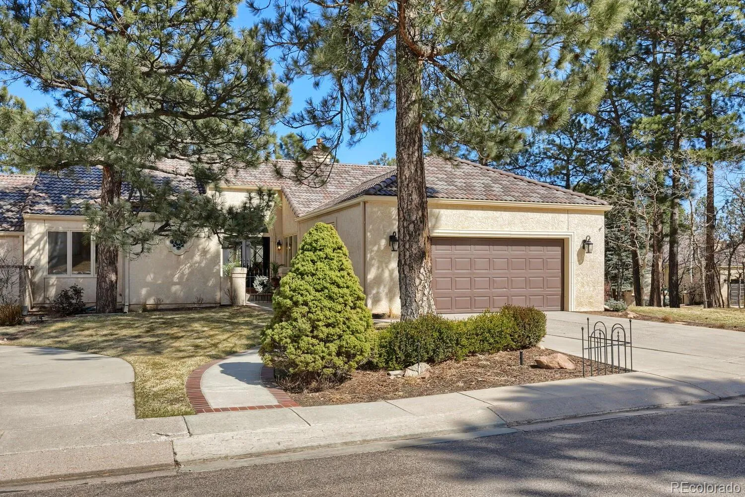 Pine Terrace