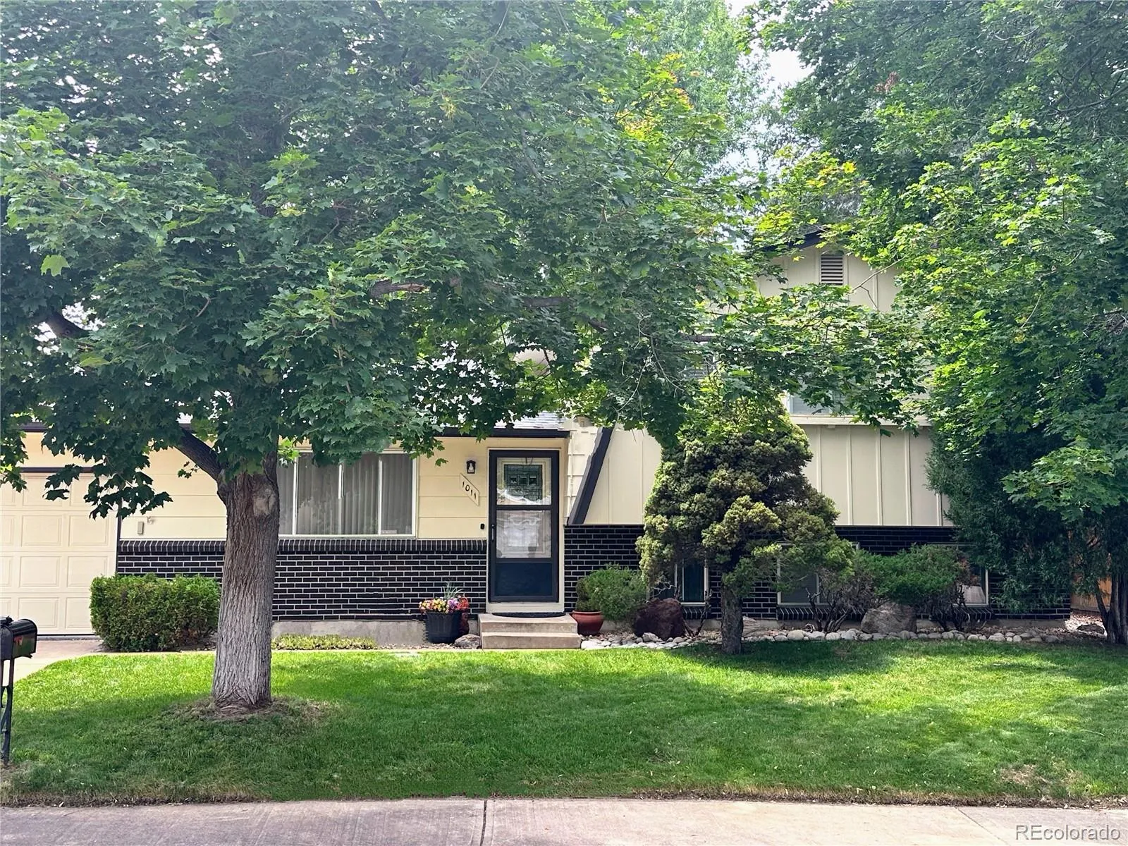 Aurora Knolls