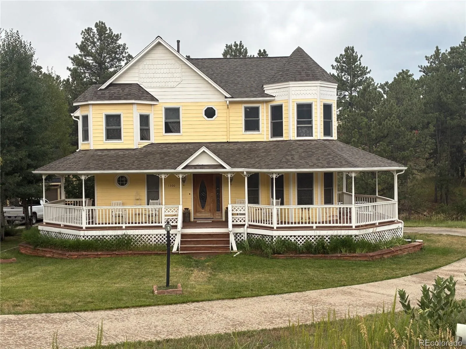 Gambel Oaks