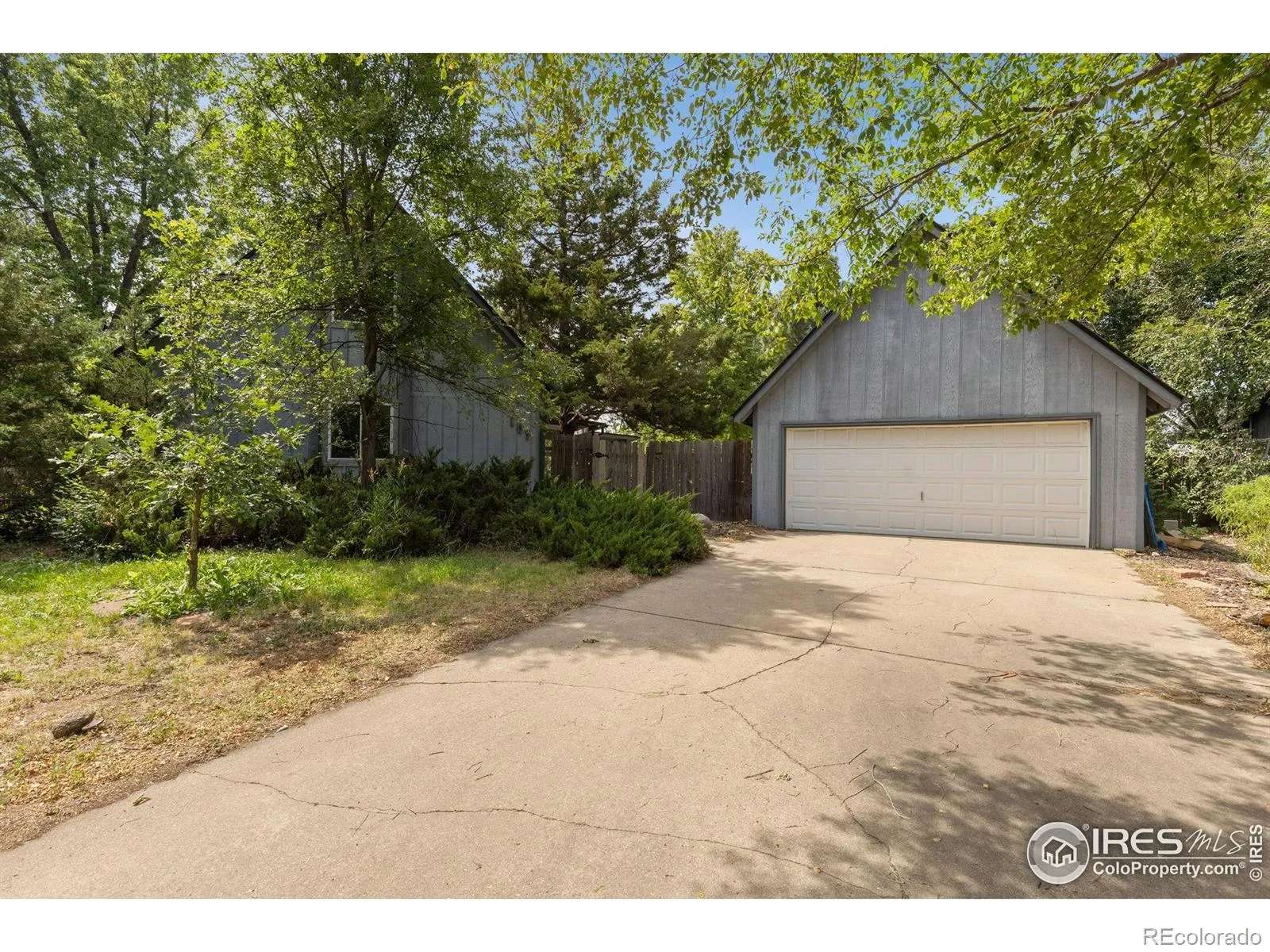 Park Ridge 1