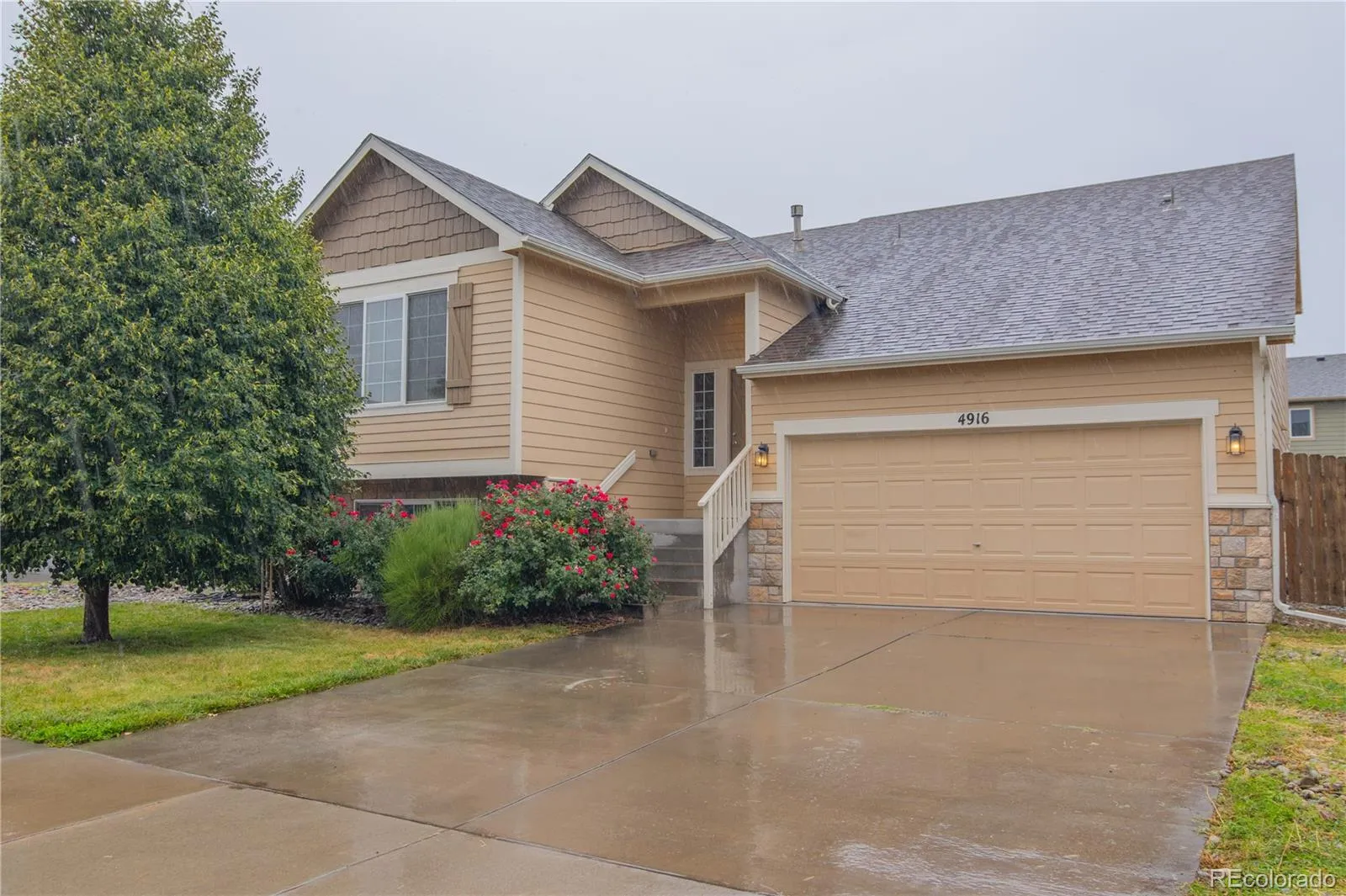 Painted Sky at Waterview