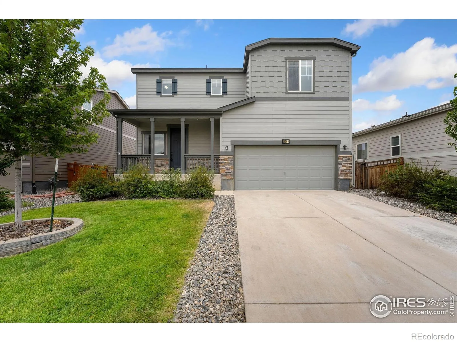 Wyndham Hill Fg 2 Rplt B