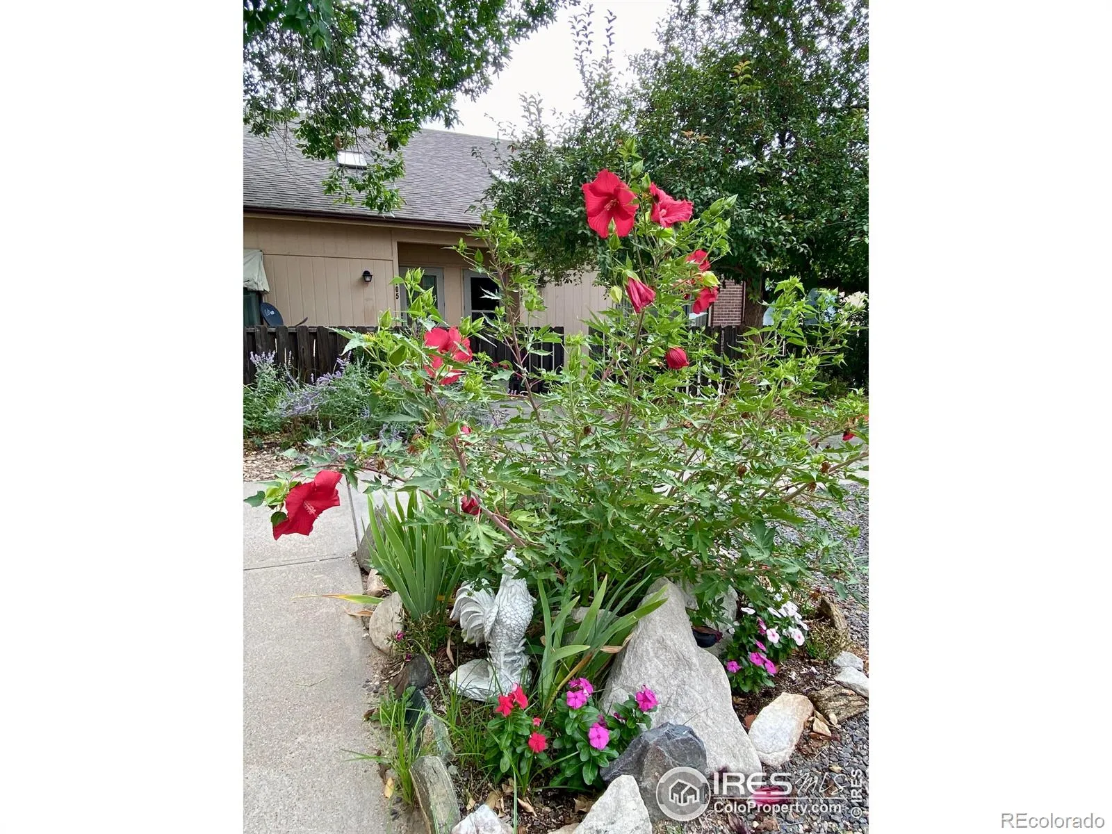 Elms Condo Ph 2