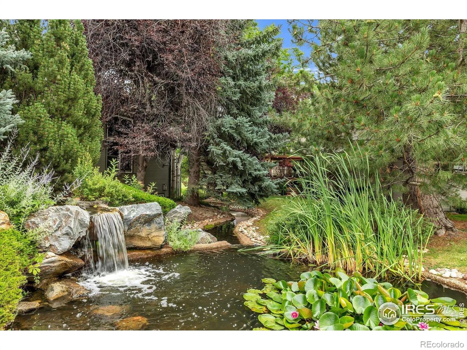 Coal Creek Ranch Flg 2