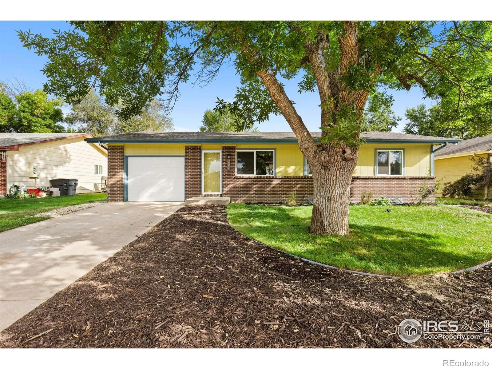 Sunnyvale 3