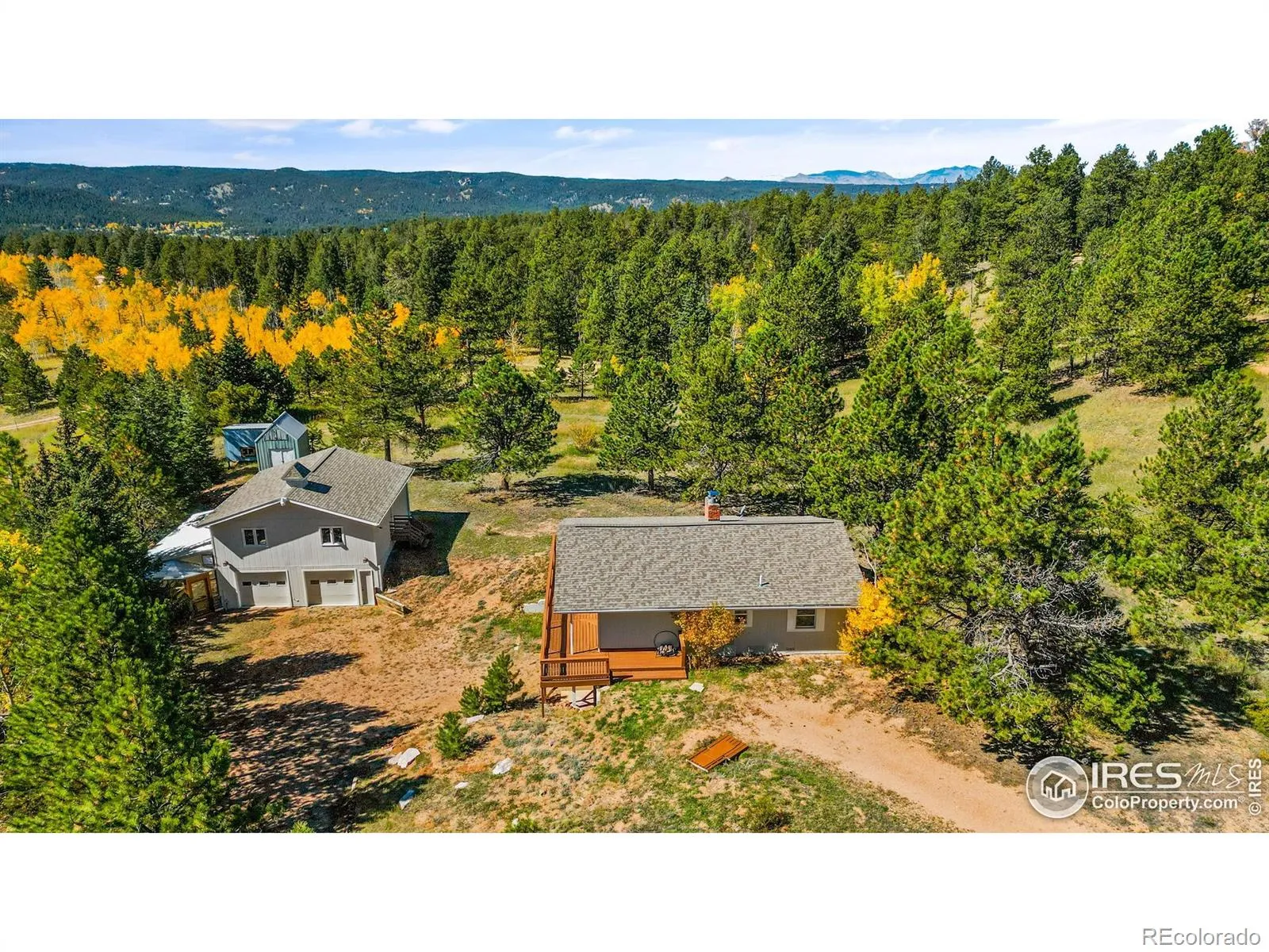 Woodland Valley