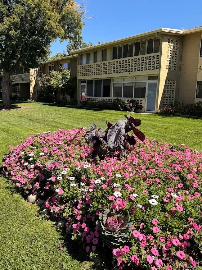 Windsor Gardens