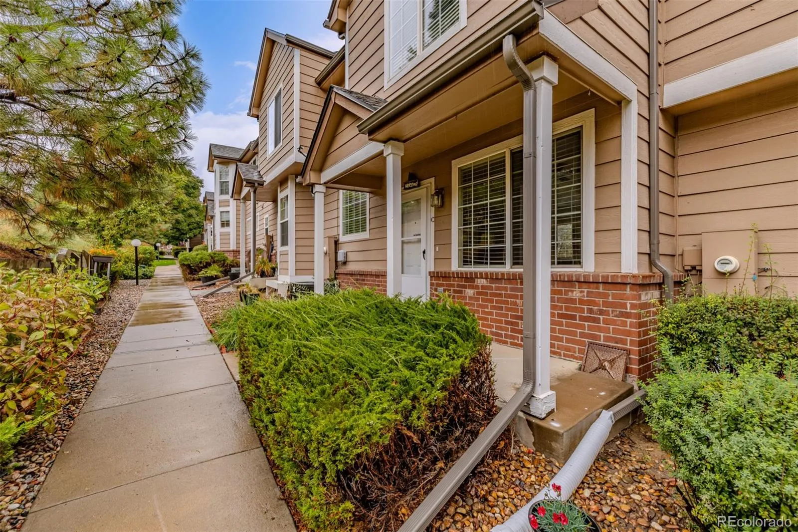 Terrace at Columbine