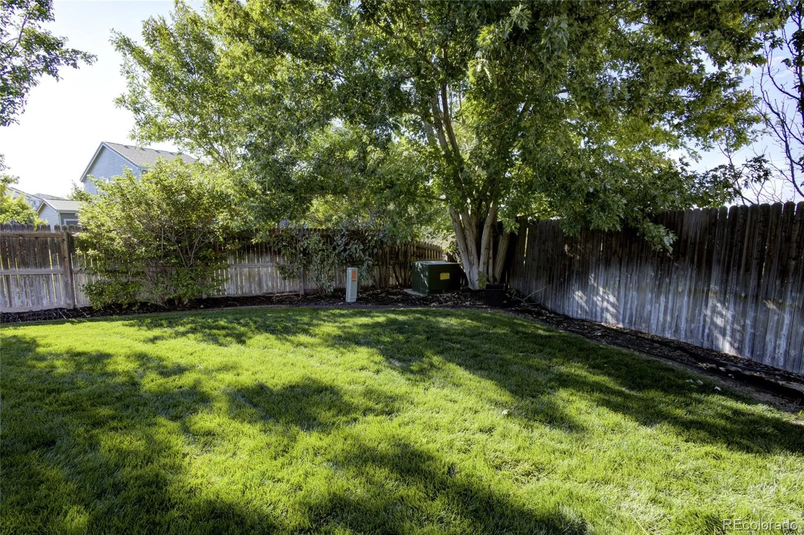 Willow Trace