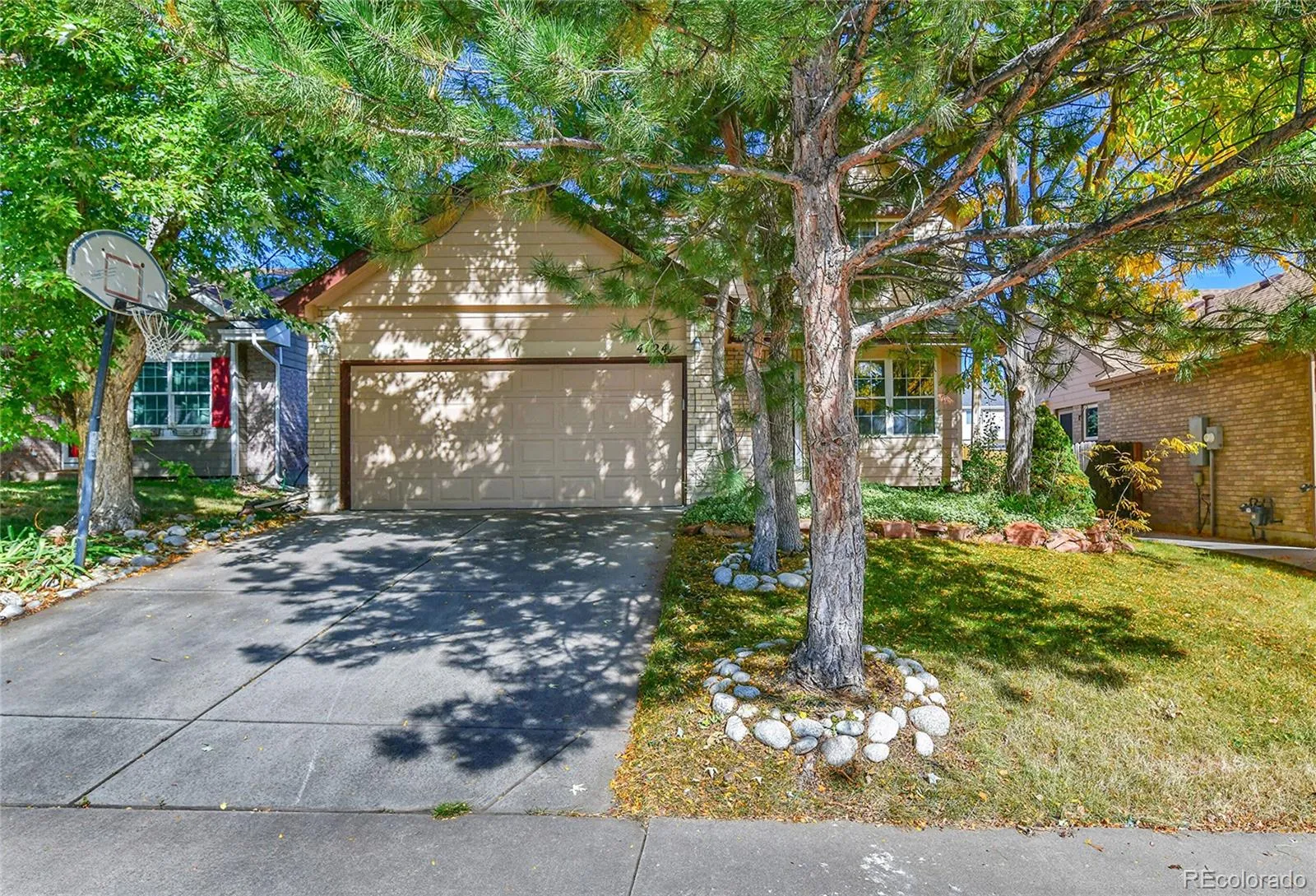 Spring Creek Meadows