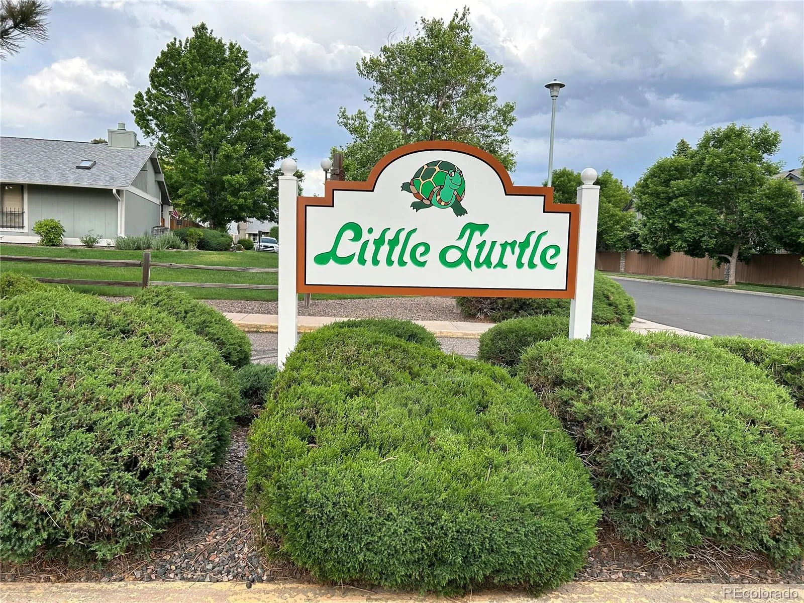 Little Turtle