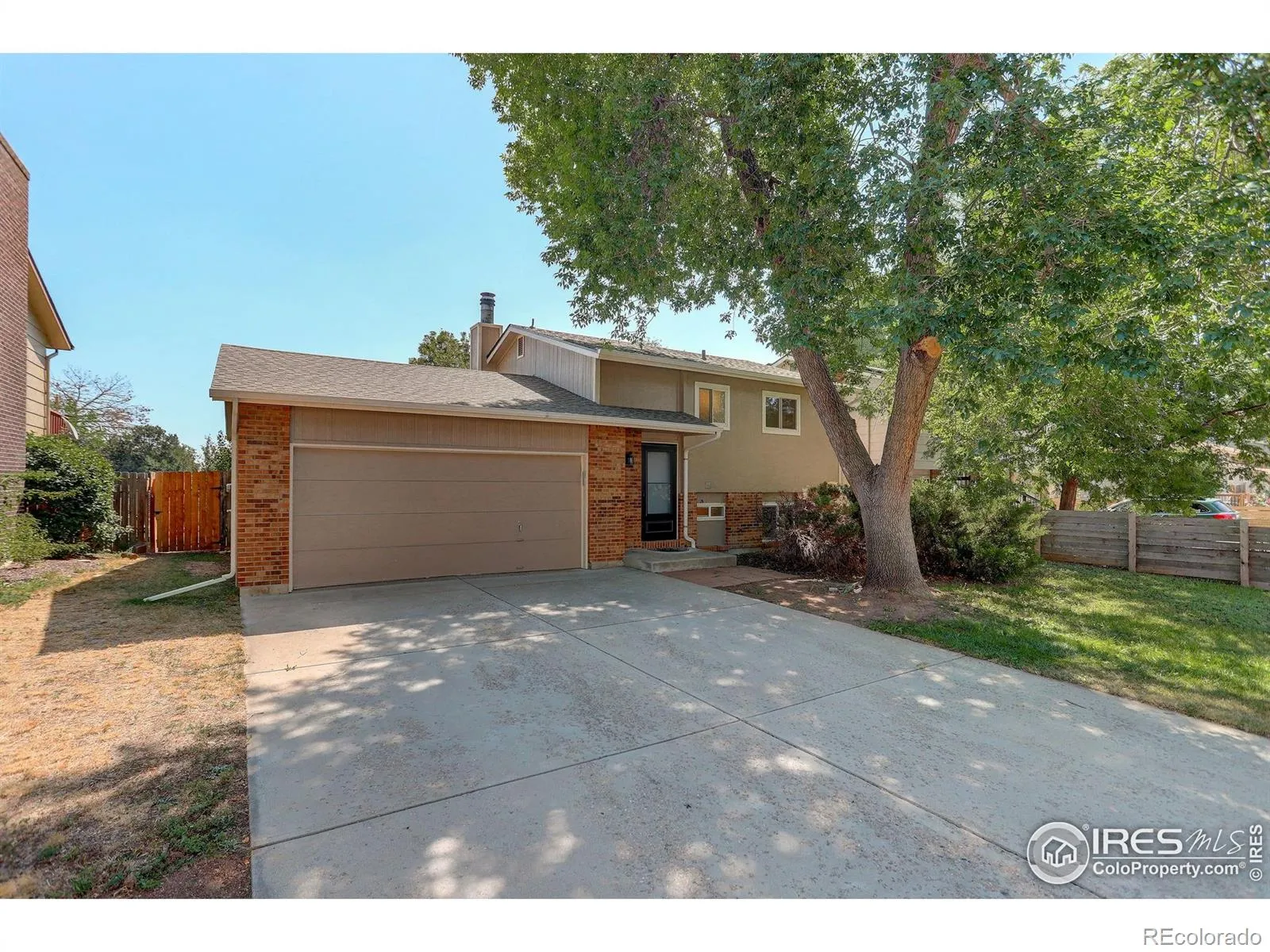 Cottonwood
