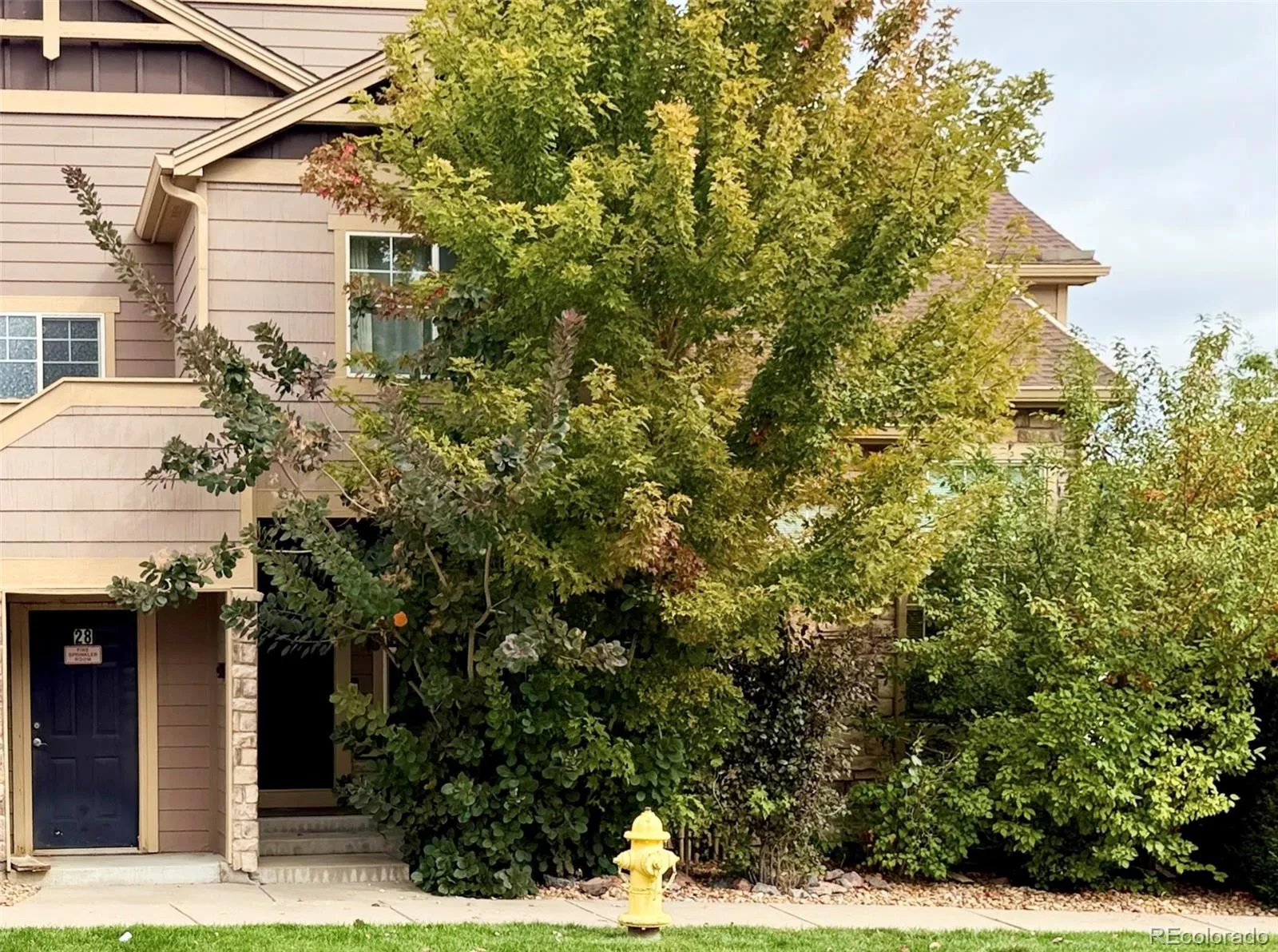 Redbuck at Sorrel Ranch