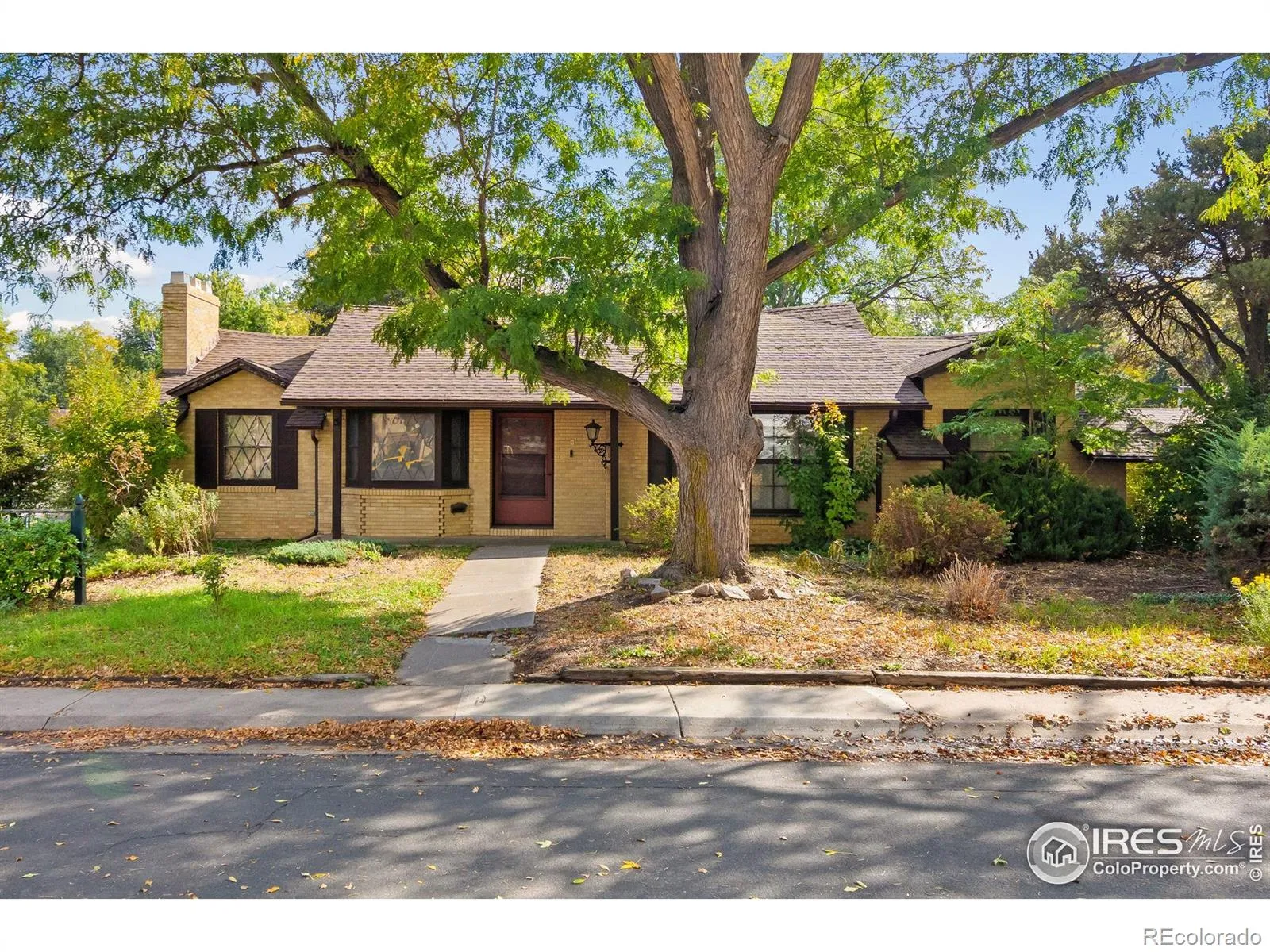 South College Heights