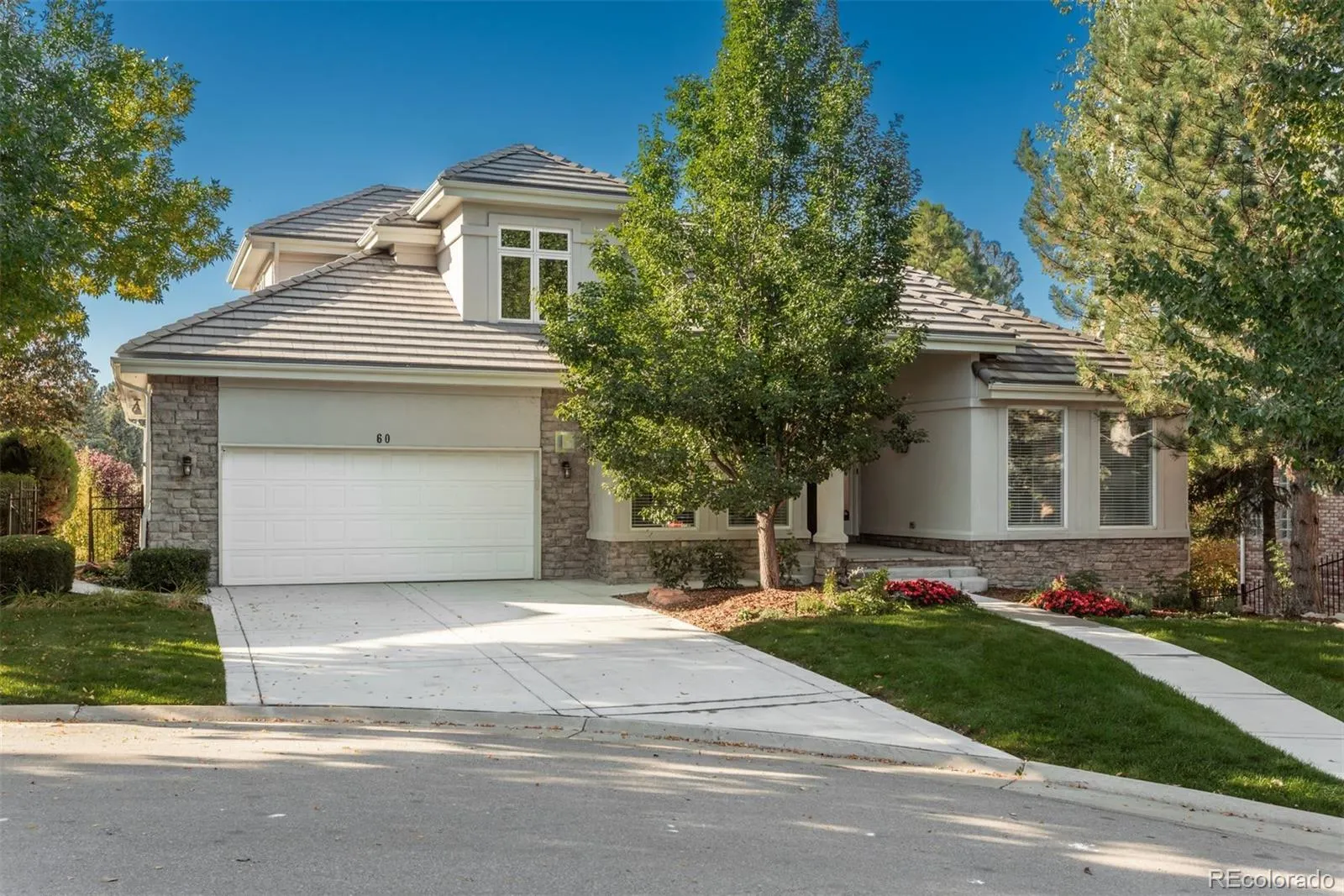 Bateleur at The Preserve