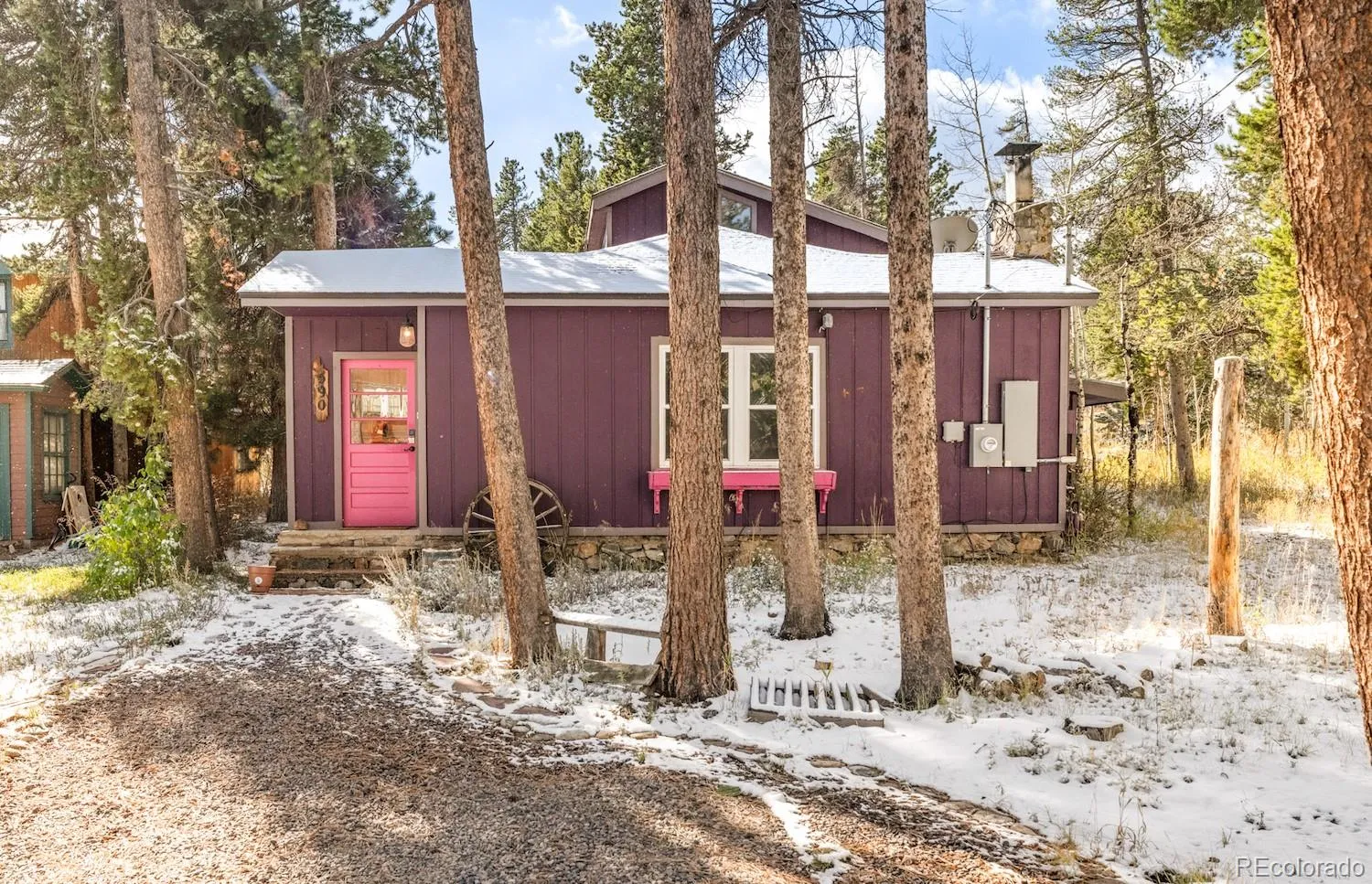 Nederland Pine Grove
